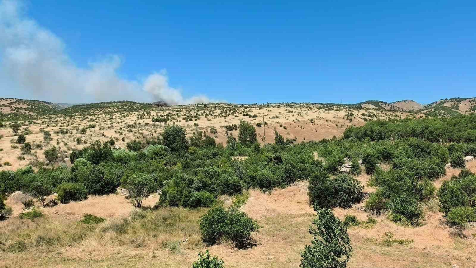 dicle-de-agaclik-alanda-yangin