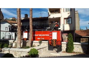 Ağaçta Mahsur Kalan Kediyi İtfaiye Kurtardı