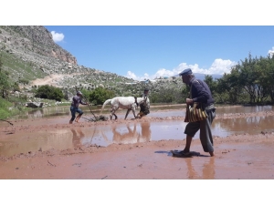 Siirt’te Çiftçiler İftara Kadar Tarlalarını Ekiyor