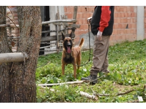 Otizmli Küçük Çocuk Her Yerde Aranıyor