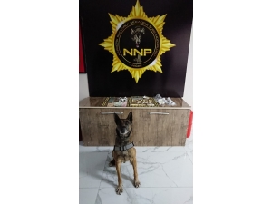 Niğde’de 2 Kişi Uyuşturucudan Gözaltına Alındı