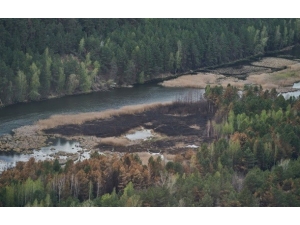 Çernobil Yangını, Bölgenin Bitki Örtüsünün Yüzde 5’ini Yok Etti