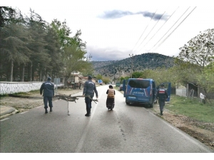 Jandarma Odun Taşımakta Zorlanan Yaşlı Kadının İmdadına Yetişti