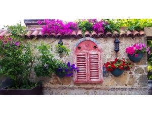 Kaleiçi Sokakları Çiçeklerle Süsledi