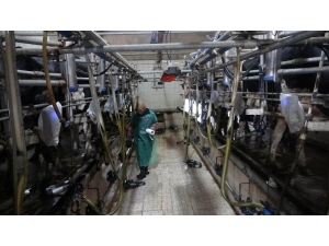 Korona Virüs Üretimi Kısıtlayamadı