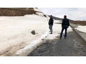 1 Mayıs Emek Ve Dayanışma Günü’nde Kartopu Keyfi