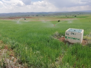 Gümüşhane’de 113 Bin 800 Dekar Tarım Arazisinin Sulanmasına Başladı