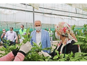Gültak, Tarım İşçileriyle Bir Araya Geldi