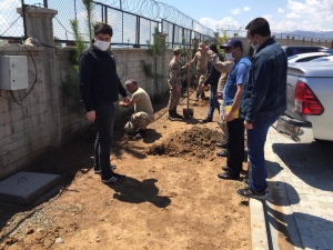 Bingöl’de Fidan Dikimi