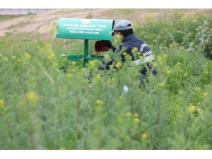 Sokak Hayvanlarını Özel Ekip Besliyor