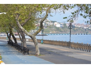 Sokaklara Kuş Cıvıltıları Hakim