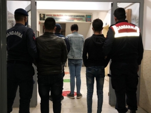 Tire’de Küçükbaş Hayvan Hırsızlığına 3 Tutuklama