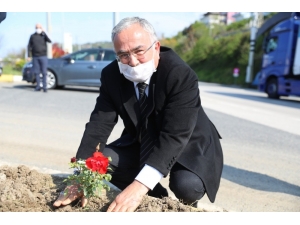 Ordu’da İsme Göre Fidan Dikiliyor