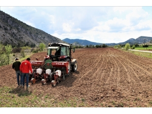 Çiftçiler Korona Virüse Rağmen Üretimi Sürdürüyor