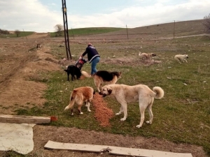 Sokağa Çıkma Yasağında Çalışmalar Devam Ediyor
