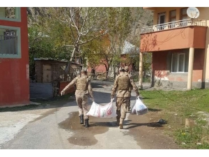 Hakkari Jandarma Ekiplerinden Örnek Davranış