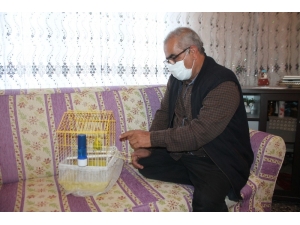 Muhabbet Kuşundan Vatandaşlara ’Evde Kal Türkiye’ Çağrısı