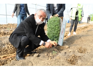 Ordu’da Sözleşmeli Tarım Başlıyor