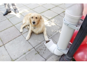 Eski Su Boruları Besleme Noktası Oldu