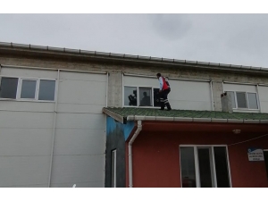 Camdaki Sinekliğe Sıkışan Kırlangıç Kurtarıldı