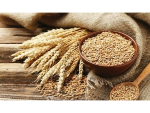 Tarımı Sevenler Posof’ta Kalıyorlar