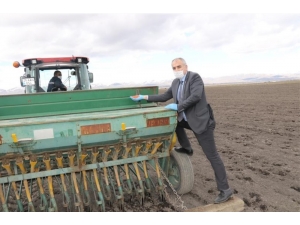 Tarıma Bahar Bereketi