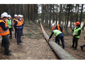 Orman Sahasında Eğitim Çalışması