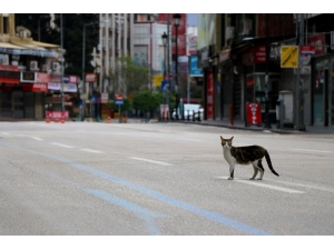 Adana’nın En İşlek Caddelerinde Issızlık Hüküm Sürüyor