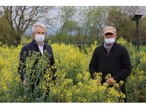 Nilüfer’de Yerel Tohumlar Takasa Hazır