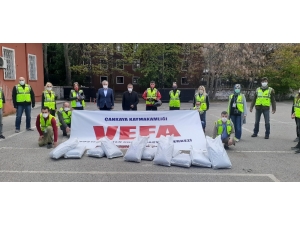 Çankaya’da Sokak Hayvanlarına Mama Takviyesi