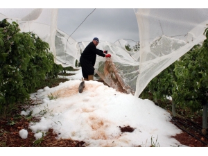 Mersin’de Dolu Afetinin Bilançosu Ağır