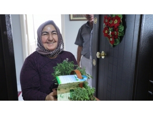 Talas Belediyesi’nden 65 Üstü Vatandaşlara Aromatik Bitkiler Sepeti