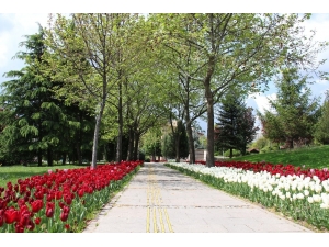 Başkentin Sembol Mekanları Boş Kaldı