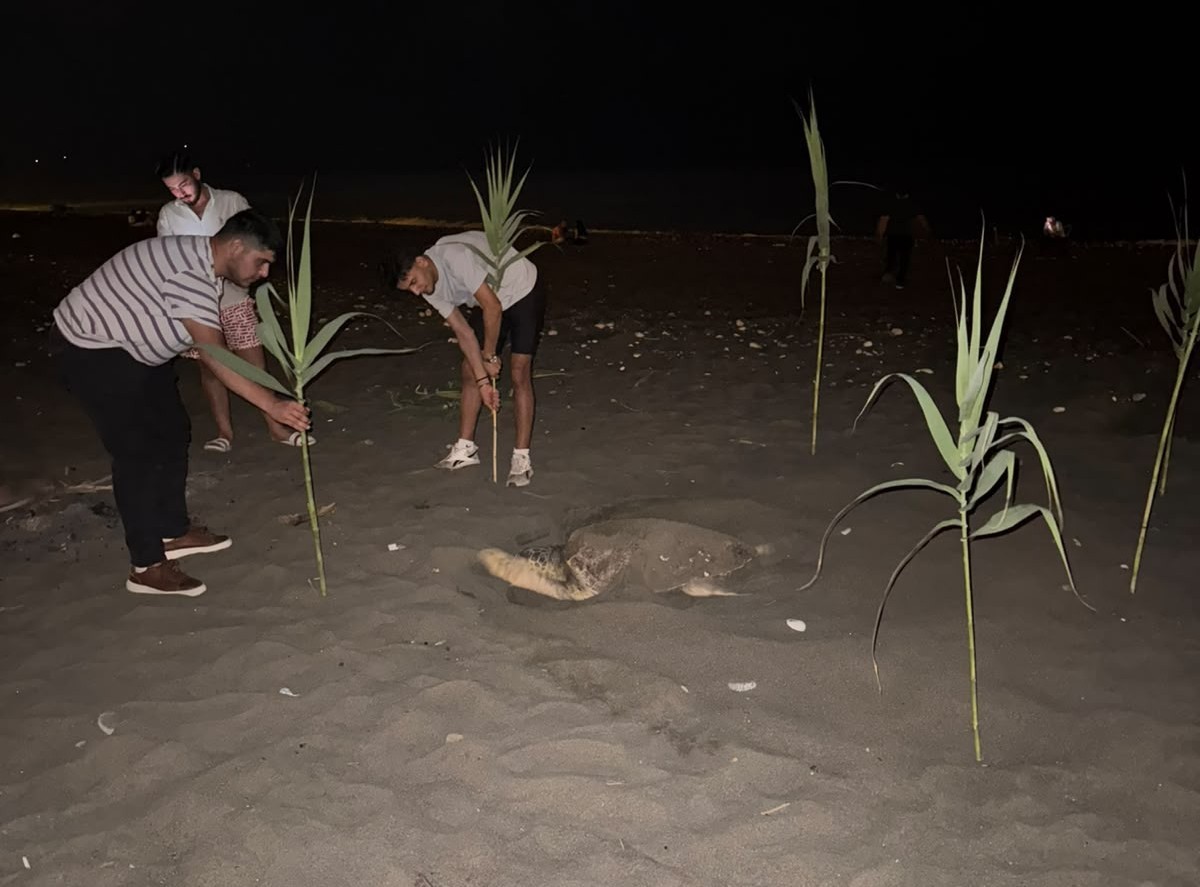 caretta-carettayi-yuva-yaparken-goren-gencler-duyarlilik-gosterdi-onlem-aldi