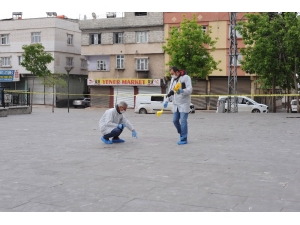 Çocukların Güvercin Tartışması Kanlı Bitti: 1 Ölü