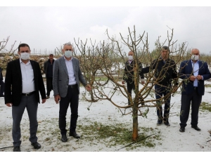 Mhp’li Şimşek: "Doludan Zarar Gören Üreticilere Devletin Şefkat Eli Uzatılmalı"