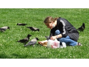 3 Yıldır Elleriyle Beslediği Kargayı Kısıtlama Günlerinde De Aç Bırakmadı