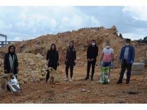 Kısıtlama Nedeniyle Aç Kalan Köpekleri Elleriyle Beslediler