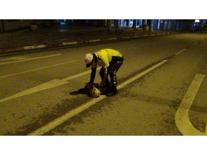 Polis Memuruyla Köpeğin Gülümseten Görüntüleri