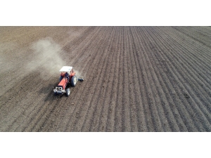 Bayburt’ta Kuru Soğan Demonstrasyon Ekimi Yapıldı