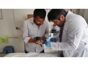 Ayağı Kangren Olan Güvercini Kurtardılar, Uçuşunu Kayda Aldılar