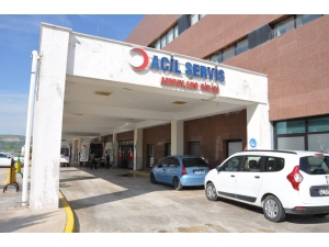 Hayvan Otlatan Kardeşlerin Üzerine Yıldırım Düştü: 1 Ölü, 1 Yaralı