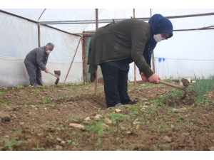 Uşak’ta Tarımsal Üretim ‘Steril’ Şekilde Sürüyor