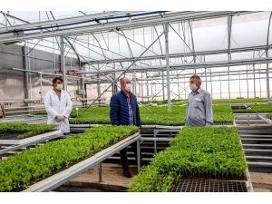 Meram Sebze Fidesi Üretim Tesisinde Fide Satışları Başladı