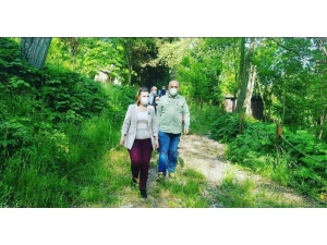 Başkan Hürriyet, Çalışmalarına Devam Ediyor