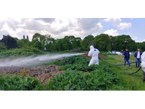 Bursa’da 2 Milyon Metrekarelik Alanda İlaçlama Gerçekleştirildi