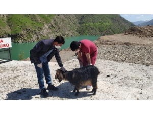 Hasta Hayvanlara Ulaşmak İçin Heyelanın Kapattığı Yolu Yaya Olarak Geçtiler