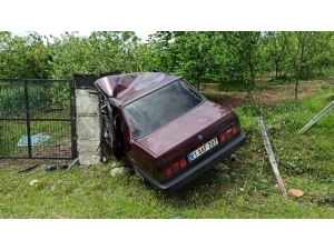 Virajı Alamayan Sürücü Fındık Bahçesine Girdi