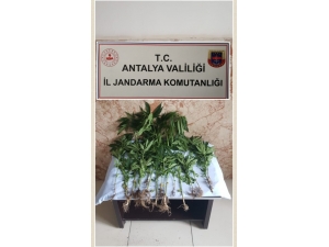 Hint Keneviri Ekti, "Sokağa Çıkamayınca Kendim Ürettim" Dedi