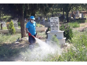 Sarıgöl’ün Mezarlıklarında Hummalı Çalışma